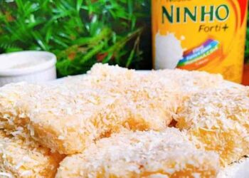 Cocada Cremosa de Leite Ninho