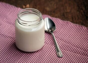 Receita de Iogurte Caseiro