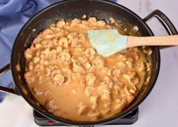 Strogonoff de Camarão