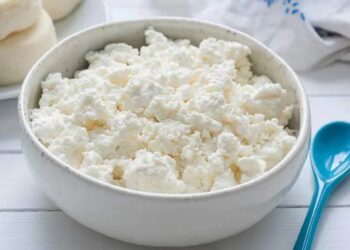 Queijo Cottage em Casa